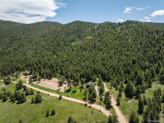 1546 Chute Rd, Golden, CO 80403 - photo 13