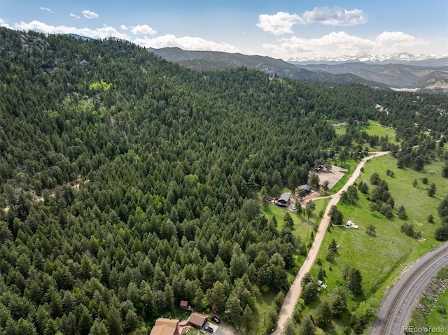 1546 Chute Rd, Golden, CO 80403 - photo 14