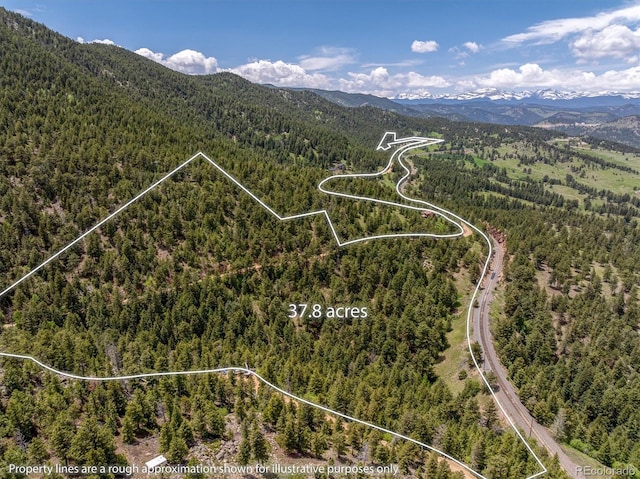 1546 Chute Rd, Golden, CO 80403 - photo 16