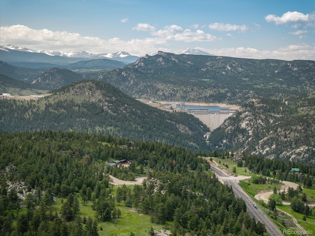1546 Chute Rd, Golden, CO 80403 - photo 17
