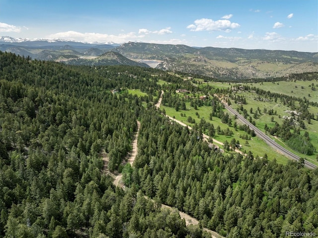 1546 Chute Rd, Golden, CO 80403 - photo 19