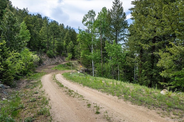 1546 Chute Rd, Golden, CO 80403 - photo 20
