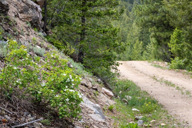 1546 Chute Rd, Golden, CO 80403 - photo 21