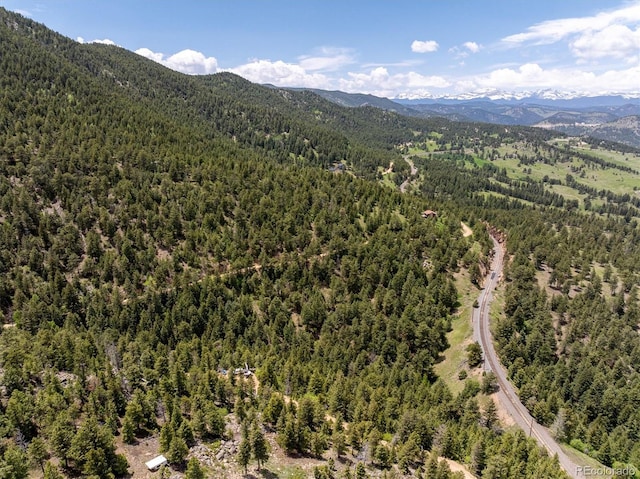 1546 Chute Rd, Golden, CO 80403 - photo 23