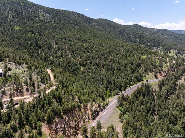 1546 Chute Rd, Golden, CO 80403 - photo 25