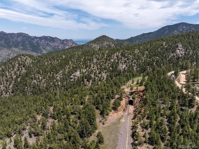 1546 Chute Rd, Golden, CO 80403 - photo 26