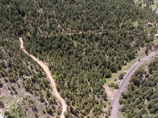 1546 Chute Rd, Golden, CO 80403 - photo 28