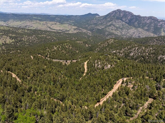 1546 Chute Rd, Golden, CO 80403 - photo 30