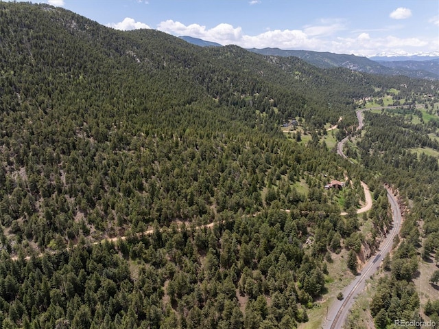 1546 Chute Rd, Golden, CO 80403 - photo 31