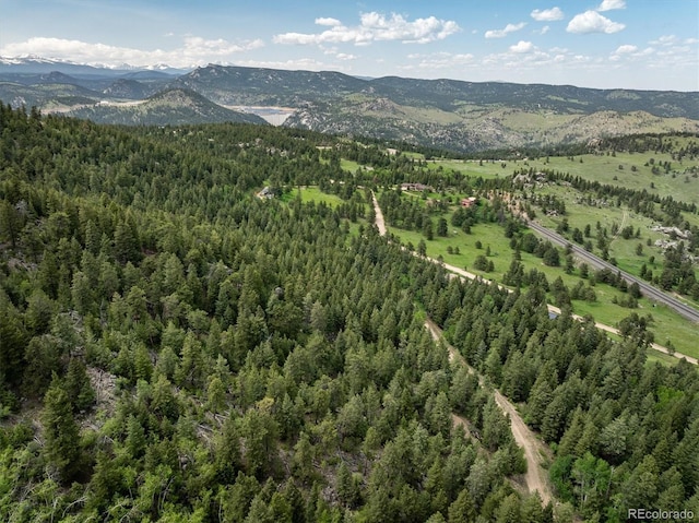 1546 Chute Rd, Golden, CO 80403 - photo 33