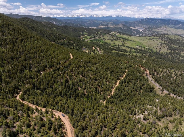 1546 Chute Rd, Golden, CO 80403 - photo 34