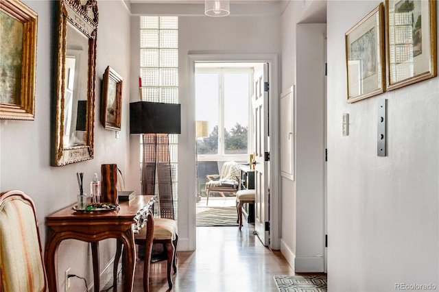 1133 Race St Unit 5A, Denver, CO 80206 - hall with baseboards and plenty of natural light