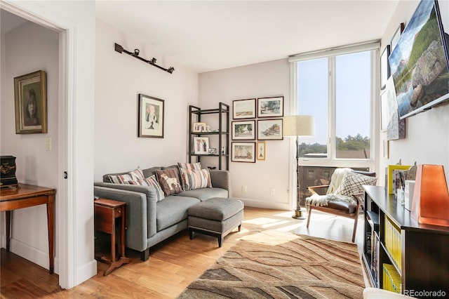 1133 Race St Unit 5A, Denver, CO 80206 - sitting room with light wood-style flooring, a wealth of natural light, and baseboards