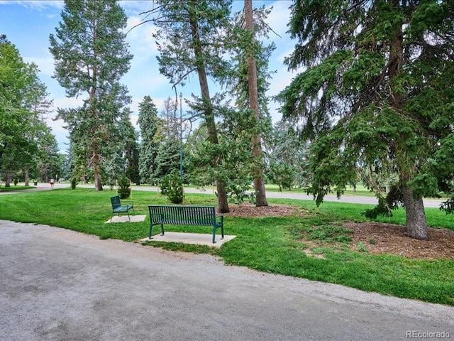 1133 Race St Unit 5A, Denver, CO 80206 - view of home's community with a yard