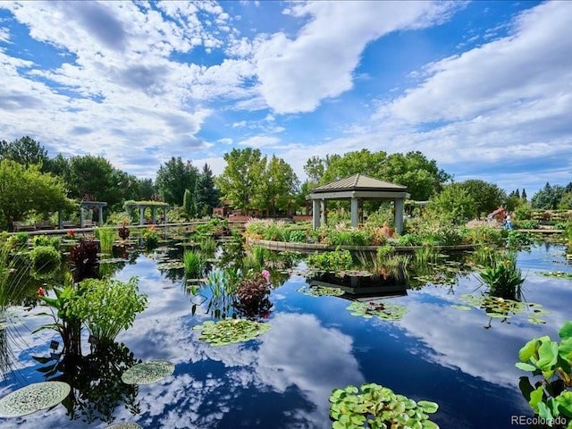 1133 Race St Unit 5A, Denver, CO 80206 - view of home's community with a water view and a gazebo