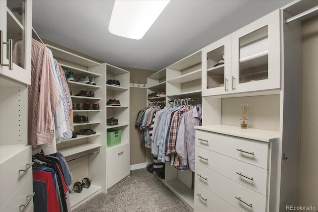 spacious closet featuring light carpet
