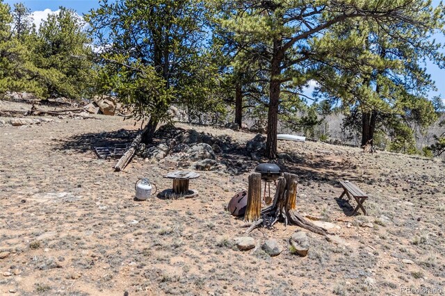 293 Yellowstone Rd, Hartsel, CO 80449 - photo 19