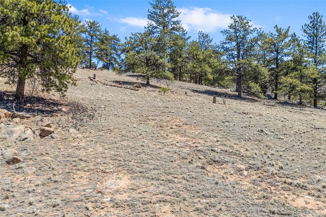 293 Yellowstone Rd, Hartsel, CO 80449 - photo 20