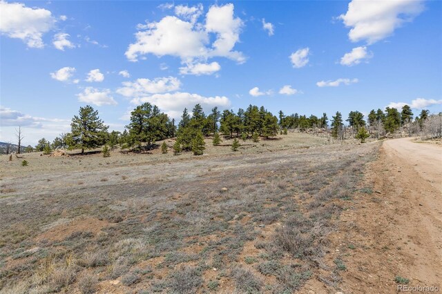 293 Yellowstone Rd, Hartsel, CO 80449 - photo 21
