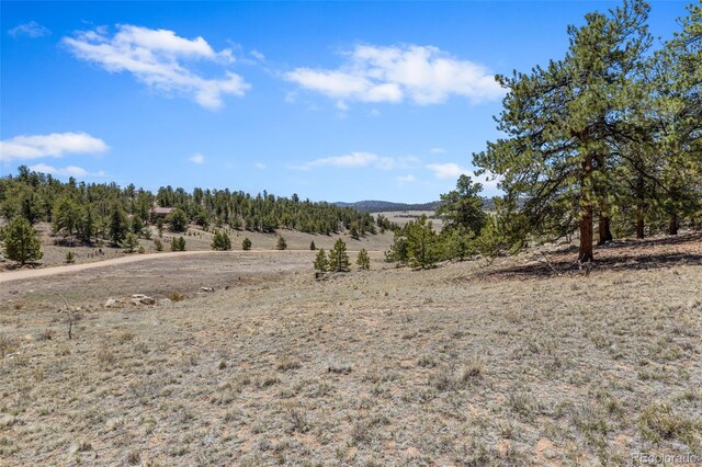 293 Yellowstone Rd, Hartsel, CO 80449 - photo 24