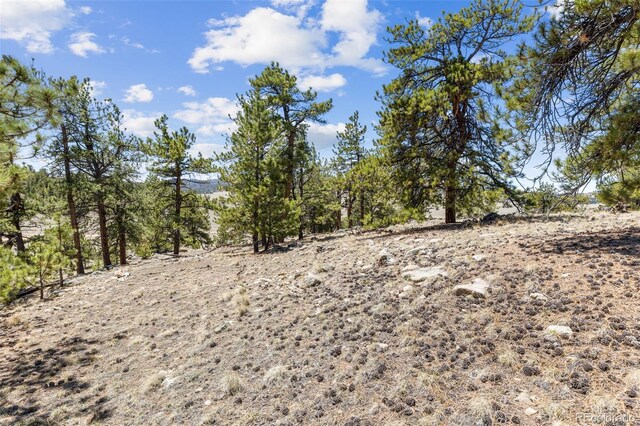 293 Yellowstone Rd, Hartsel, CO 80449 - photo 25