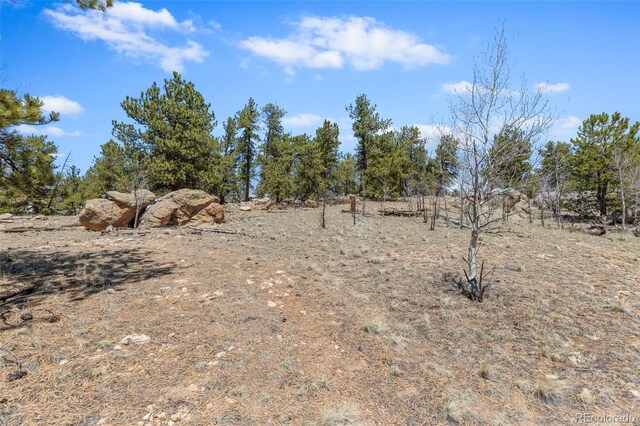 293 Yellowstone Rd, Hartsel, CO 80449 - photo 26