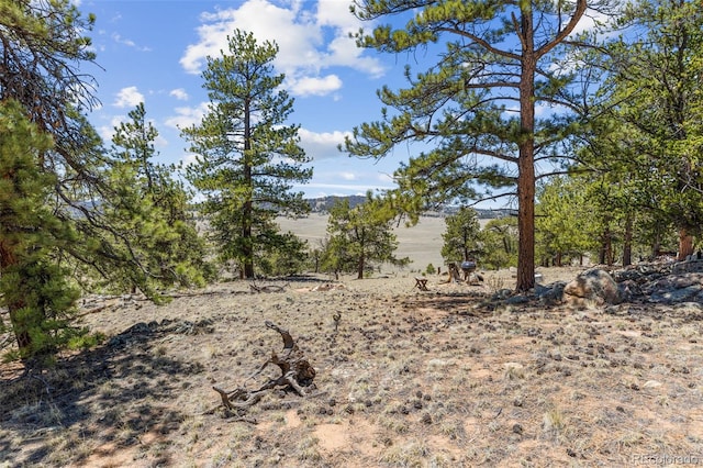 293 Yellowstone Rd, Hartsel, CO 80449 - photo 27