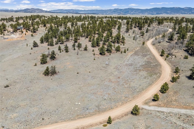 293 Yellowstone Rd, Hartsel, CO 80449 - photo 1