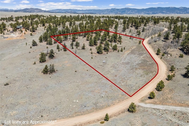 293 Yellowstone Rd, Hartsel, CO 80449 - photo 2