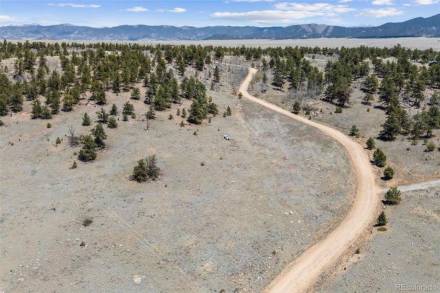 293 Yellowstone Rd, Hartsel, CO 80449 - photo 3