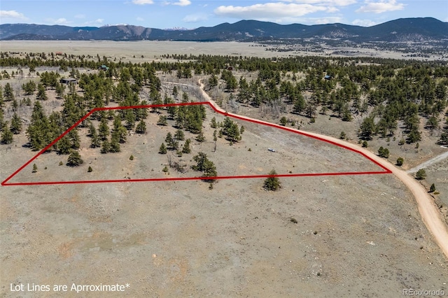 293 Yellowstone Rd, Hartsel, CO 80449 - photo 4