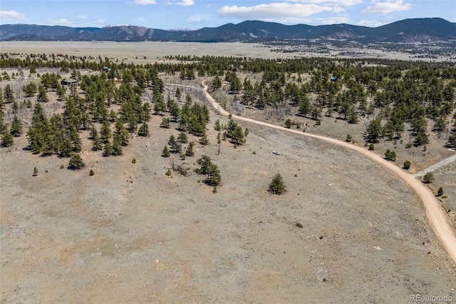 293 Yellowstone Rd, Hartsel, CO 80449 - photo 5