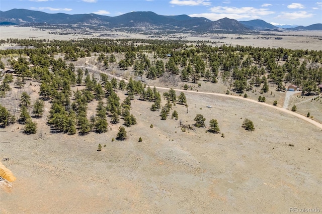 293 Yellowstone Rd, Hartsel, CO 80449 - photo 6