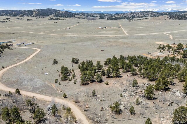 293 Yellowstone Rd, Hartsel, CO 80449 - photo 7