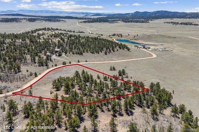 293 Yellowstone Rd, Hartsel, CO 80449 - photo 8