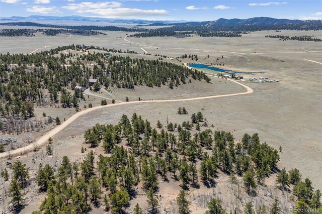 293 Yellowstone Rd, Hartsel, CO 80449 - photo 9