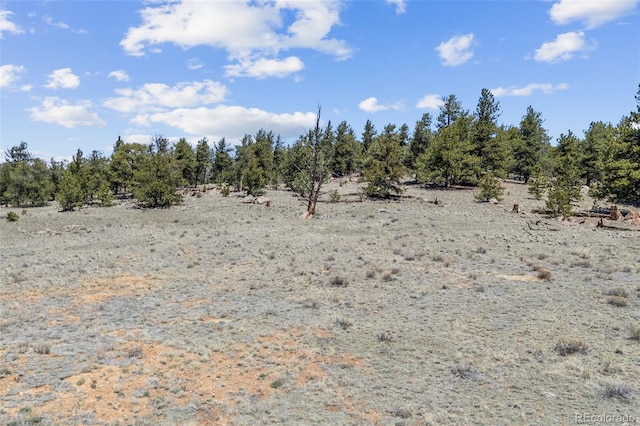 293 Yellowstone Rd, Hartsel, CO 80449 - photo 10