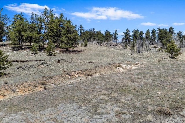 293 Yellowstone Rd, Hartsel, CO 80449 - photo 12