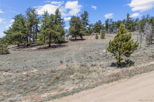 293 Yellowstone Rd, Hartsel, CO 80449 - photo 13