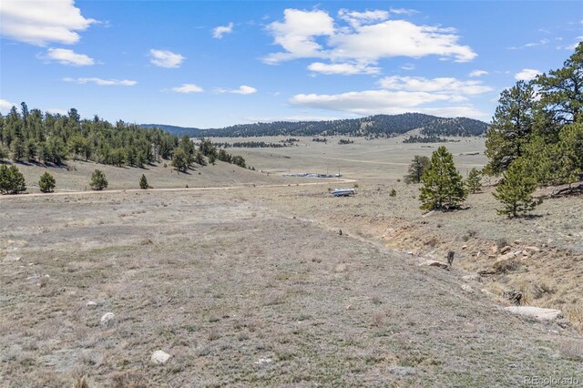 293 Yellowstone Rd, Hartsel, CO 80449 - photo 14