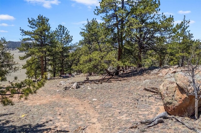 293 Yellowstone Rd, Hartsel, CO 80449 - photo 15
