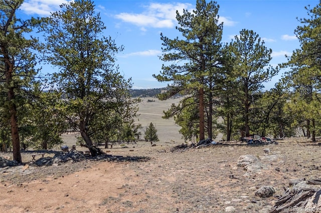293 Yellowstone Rd, Hartsel, CO 80449 - photo 16