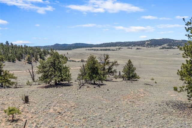 293 Yellowstone Rd, Hartsel, CO 80449 - photo 18