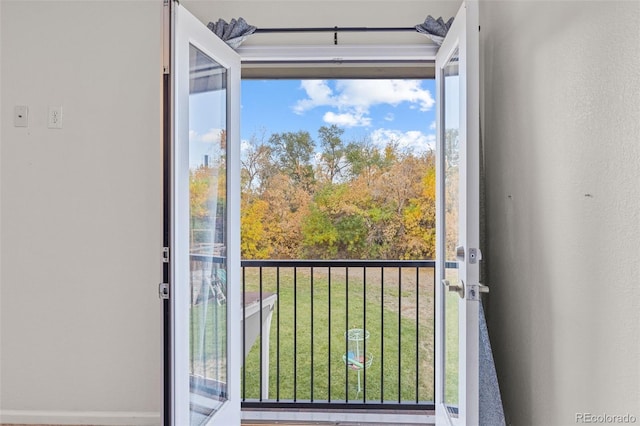 entryway with a healthy amount of sunlight