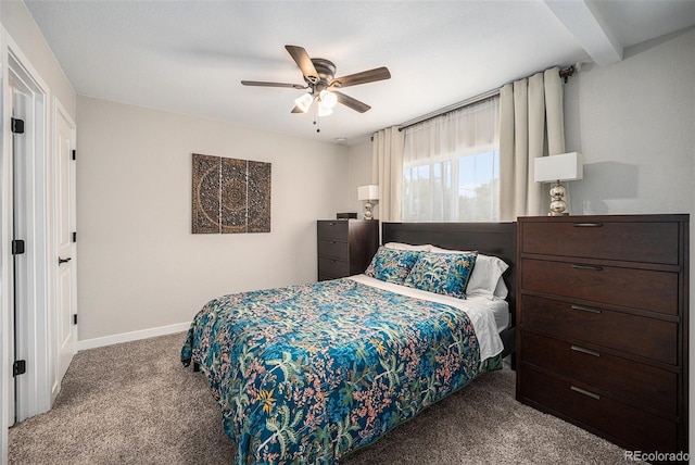 1892 S Meade St, Denver, CO 80219 - photo 9