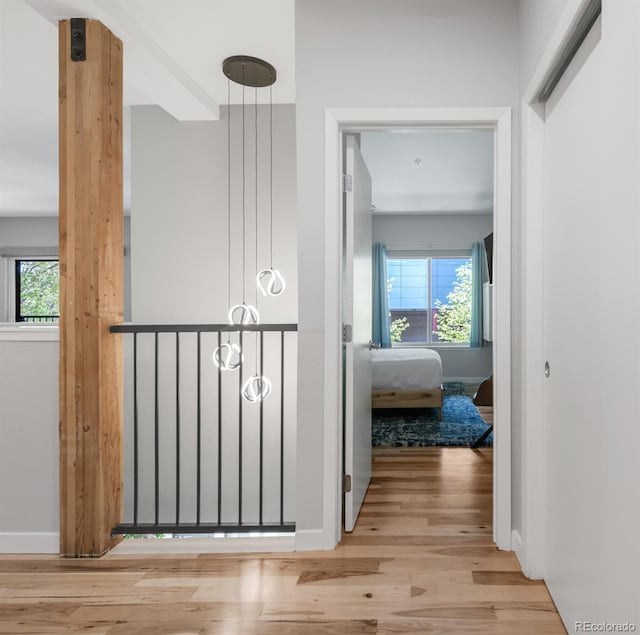 3295 Blake St Unit 102, Denver, CO 80205 - hall featuring plenty of natural light, wood finished floors, and baseboards