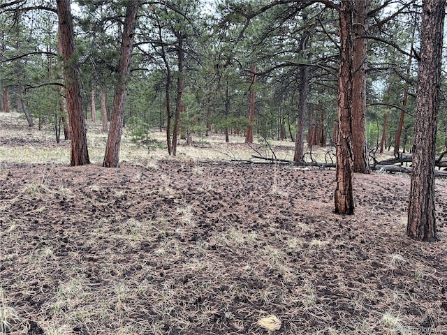 120 Harness Way, Hartsel, CO 80449