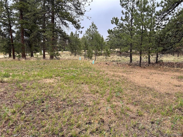 120 Harness Way, Hartsel, CO 80449