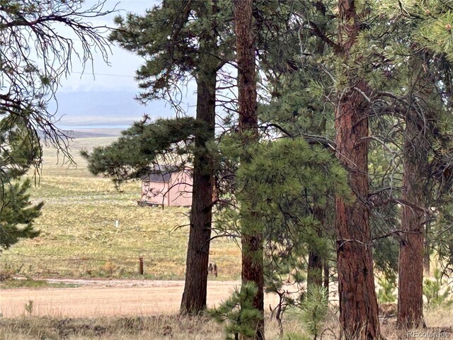 120 Harness Way, Hartsel, CO 80449