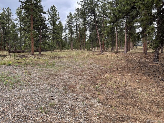 120 Harness Way, Hartsel, CO 80449